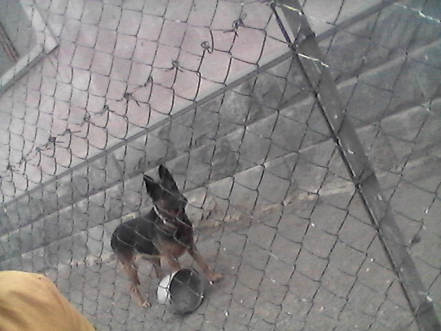 WIN_20190909_14_49_35_Pro